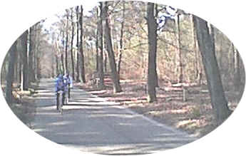 SCHITTERENDE NATUUR OP DE UTRECHTSE HEUVELRUG..