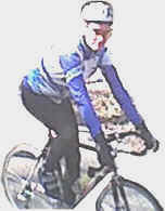 PIETER BOUT..
